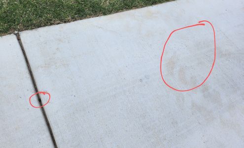 EcoShield Pest Solutions