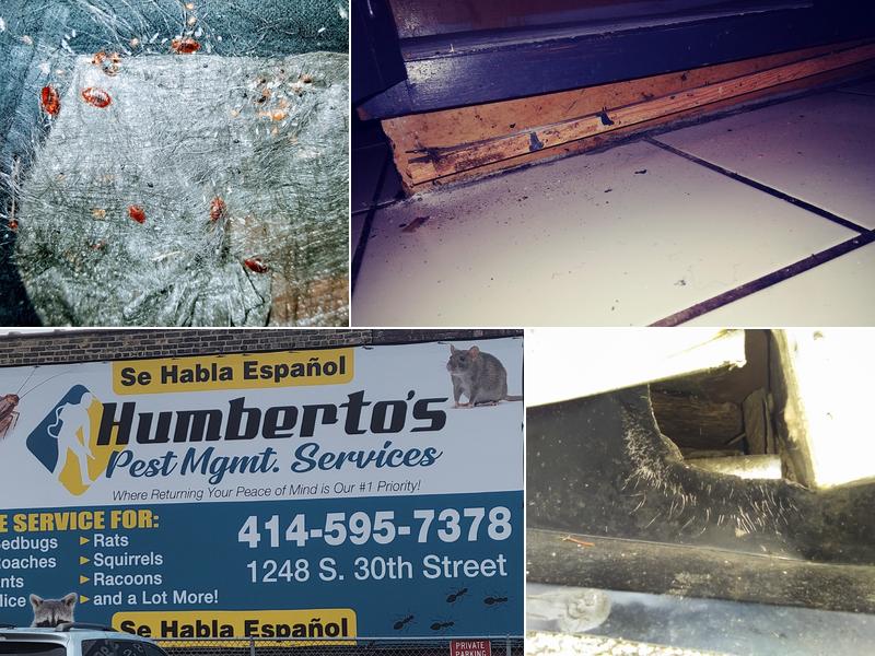 Humberto's Pest Management Services