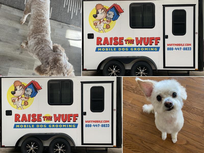 Raise The Wuff Mobile Dog Grooming