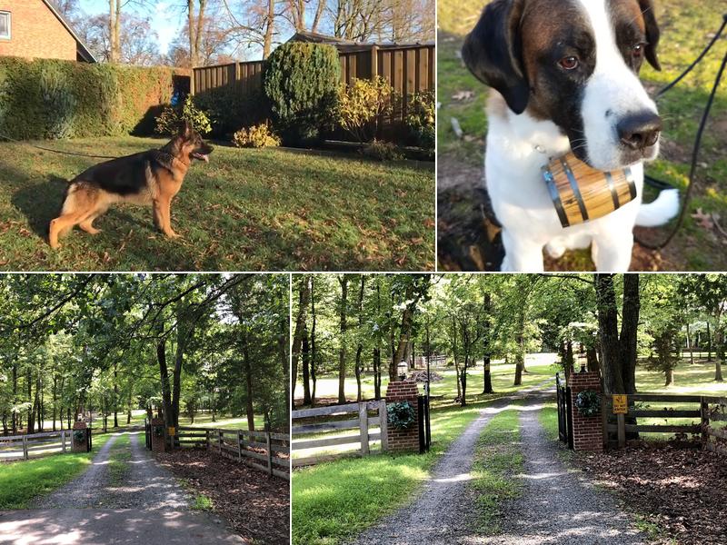 Highland Oaks Kennel