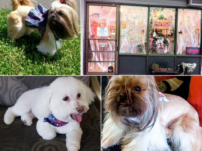 A Bath and A Biscuit