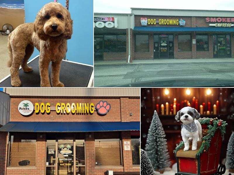 Pooch's Paradise Spaw