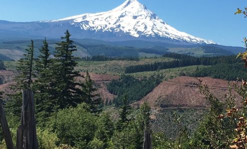 Cascade Orthopedics & Sports Medicine Center, P.C.