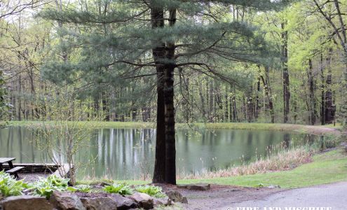 Pine Lodge