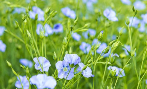 Valeo Home Health and Hospice