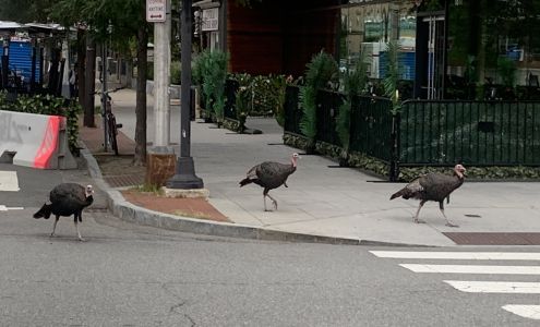 Metropolitan Home Health Services