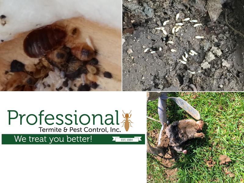 Professional Termite & Pest Control, Inc.
