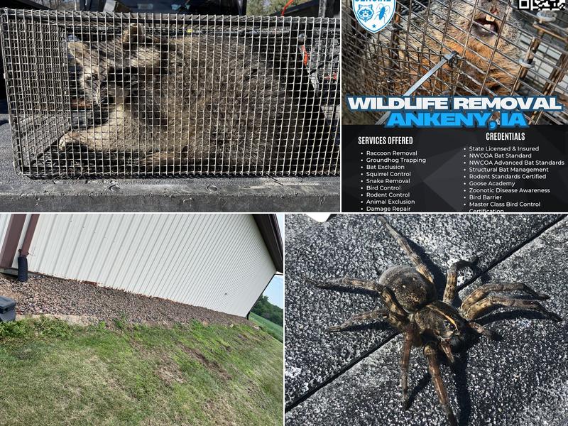 Genuine Pest Control