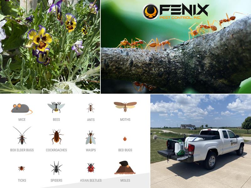 Fenix Pest Control, Inc.
