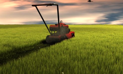 Campbell's Lawn Care