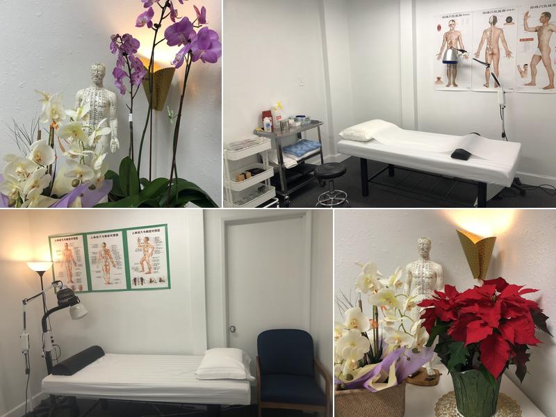 CHANG LE ACUPUNCTURE & HERBS INC常乐中医针灸诊所