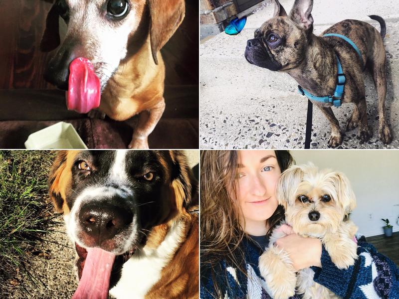 Wilsey Brothers Home Services