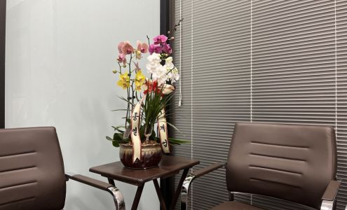 The Acupuncture and Herbal Medicine Clinic