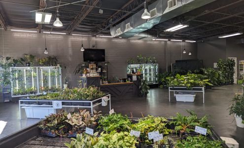 Texas Plant Connection