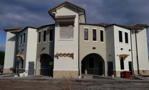 The Gutter Man of Tampa Bay