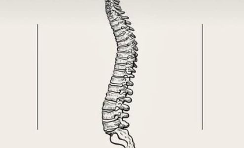 Denison Chiropractic 17 S 14th St, Denison Iowa 51442