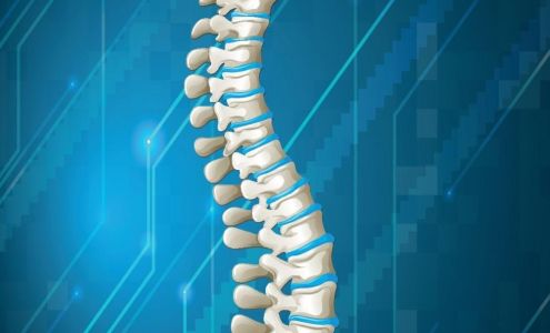 Robin L. Roberts, DC 13301 Reeck Ct, Southgate Michigan 48195