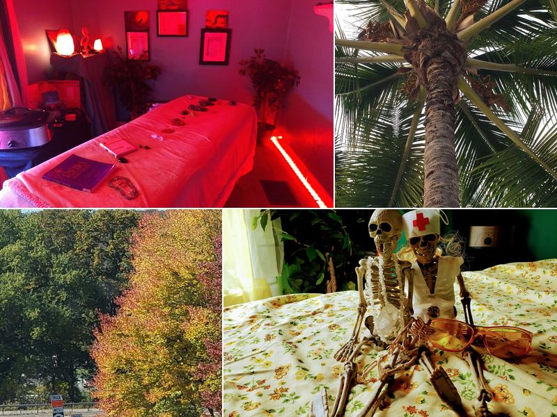 Holistic Happiness Massage and Wellness