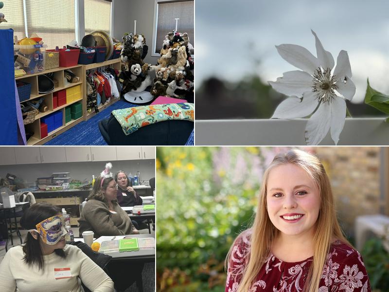 Chrysalis Behavioral Health Services and Training Center