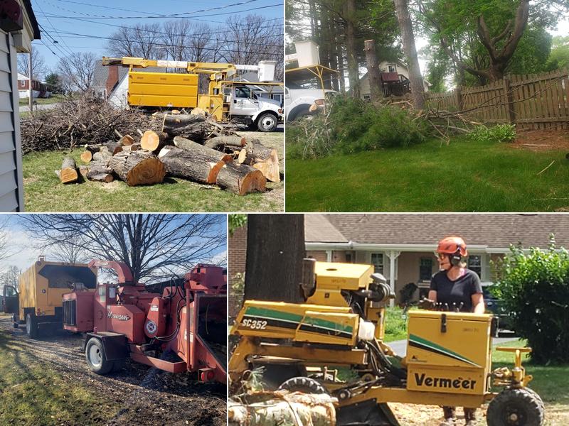 Wagner Tree Services LLc