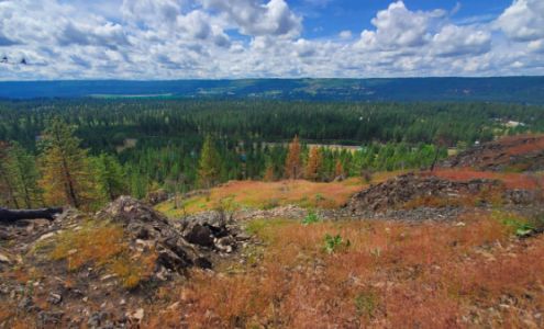 Carrie Meyer Real Estate Agent Spokane