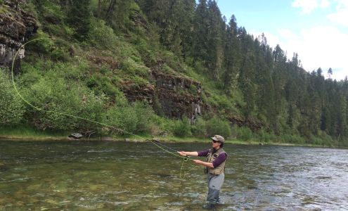 Joanne Pettit, Realtor