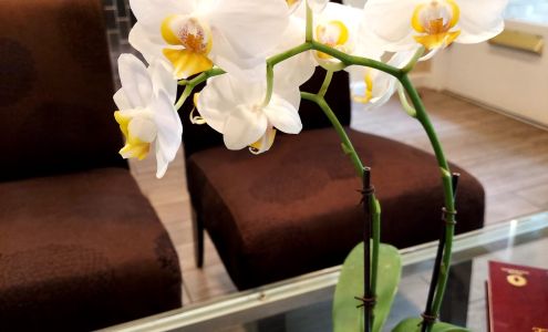 Millennium Dental Clinic