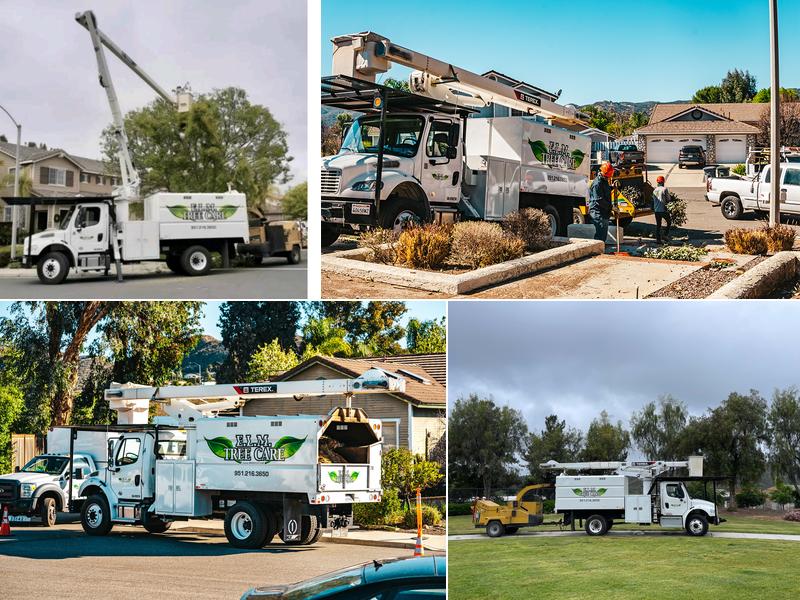 E.L.M. Tree Care