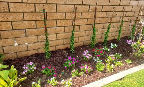 Tustin Meadows Nursery