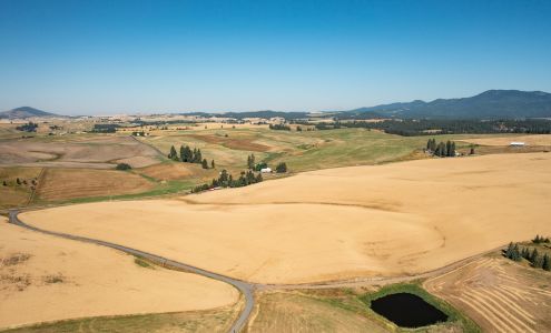 Kestrel Realty Group