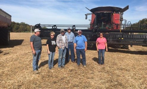 Scarlett Miller - COUNTRY Financial Representative