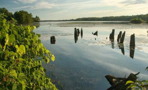 Kevin Paul Kelly & Associates