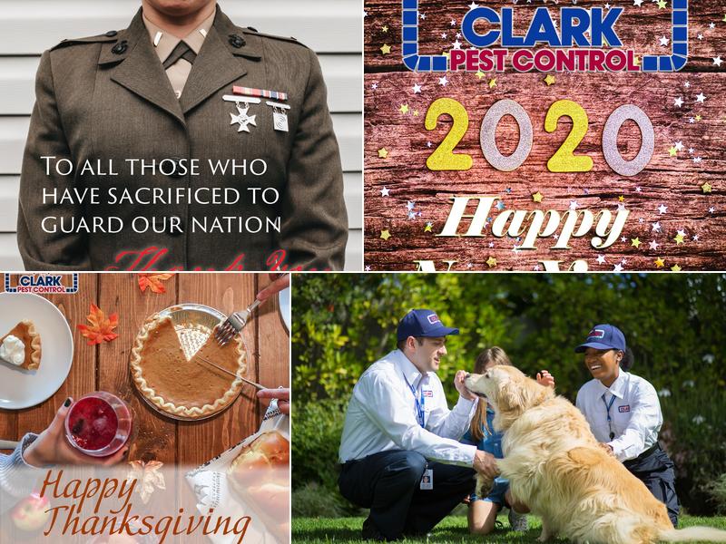 Clark EssentialClean