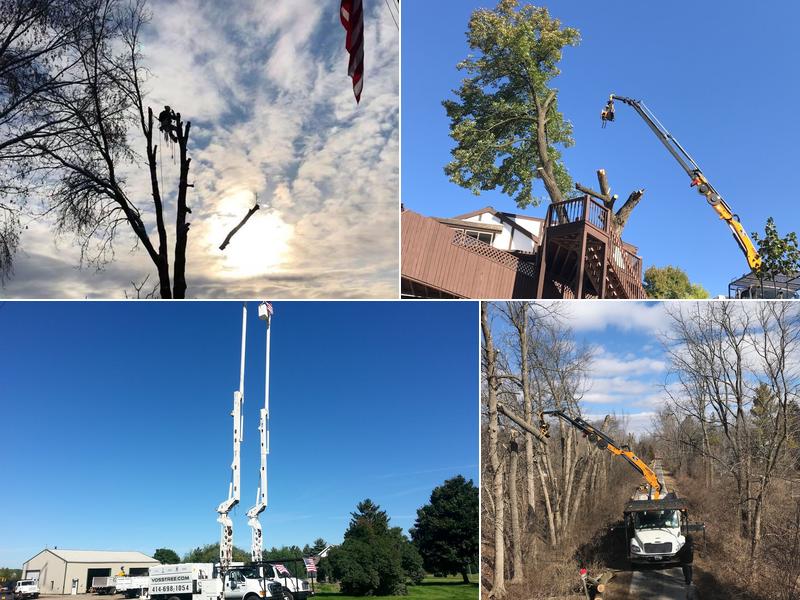 Voss TreeMendous Tree Service
