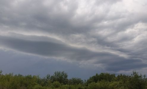 Hines Creek UFA Petroleum Agency & Cardlock Hines Creek