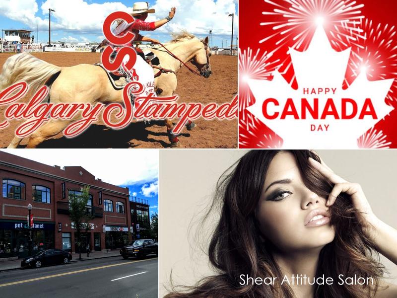 Shear Attitude Salon