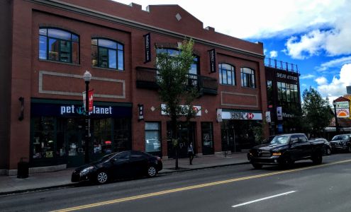 Shear Attitude Salon