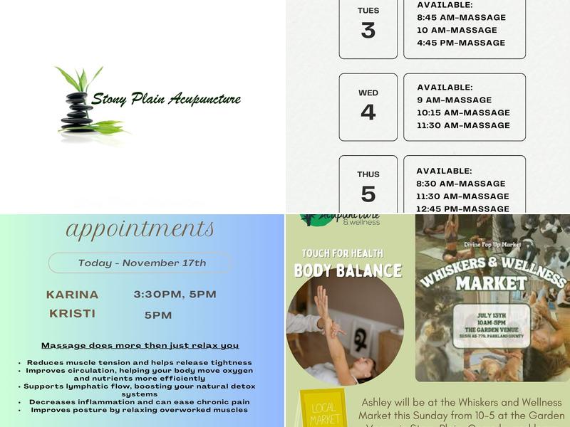 Stony Plain Acupuncture & Wellness