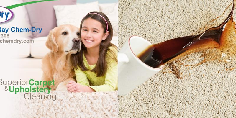 Cross Bay Chem-Dry Carpet & Upholstery Cleaning