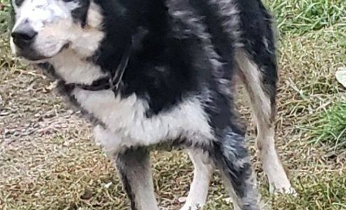 County of Annapolis Recreation Svc Annapolis Royal