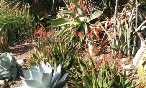 Rancho Soledad Nurseries Inc 18539 Aliso Canyon Rd, Rancho Santa Fe California 92091