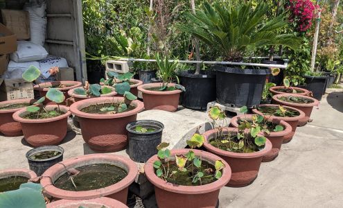 Temple Garden Center