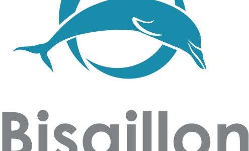 Bisaillon Investment Strategies Inc.
