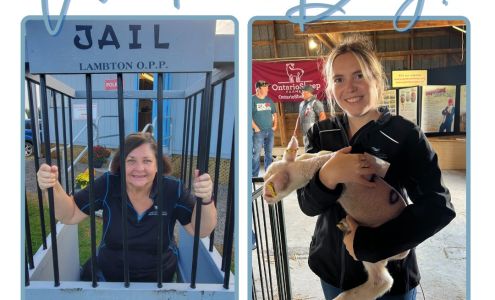 Lambton Mutual Insurance Thedford