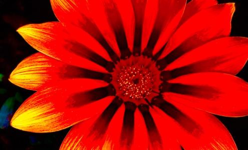 Massage by Cindi Sheridan 755 East 2nd Avenue Oc, Durango Colorado 81301