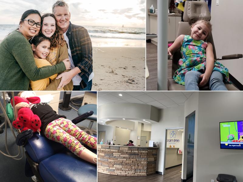 Palm Tree Dentistry - New Port Richey