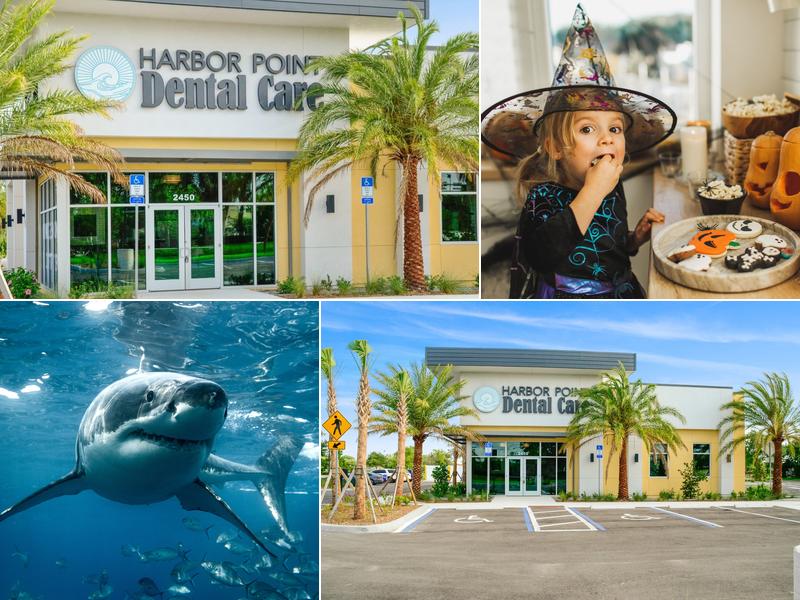 Harbor Point Dental Care