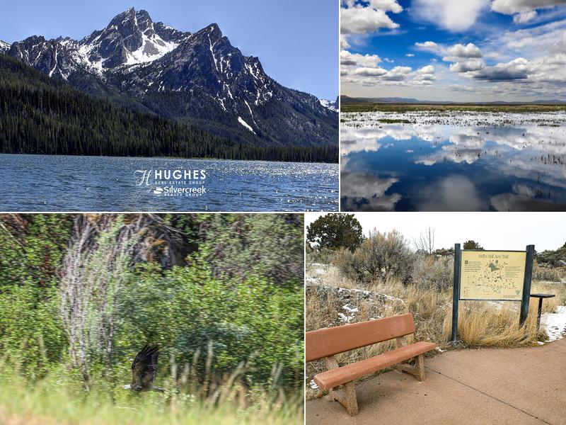 Hughes Real Estate Group of Silvercreek Realty Group