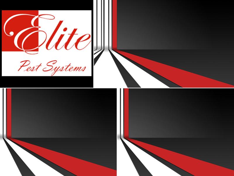 Elite Pest Systems
