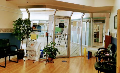 Berna Chiropractic 1537 Pandora Ave, Victoria British Columbia V8R 6J9